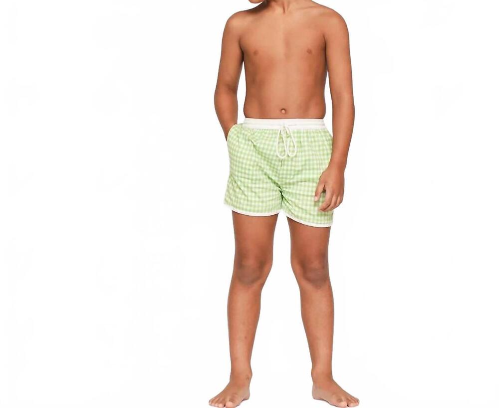 NEW DEAR GEORGIE gingham sea shorts in green